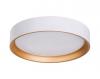 Auster Gold Trim to Suit 24W LED Ceiling Oyster Light